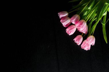 Siyah ahşap arka plan üzerine parlak Pembe Lale sınırdan çiçekler.