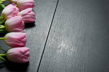 Siyah ahşap arka plan üzerine parlak Pembe Lale sınırdan çiçekler.