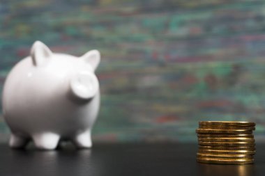 Bir altın bitcoin jeton ile beyaz piggy banka