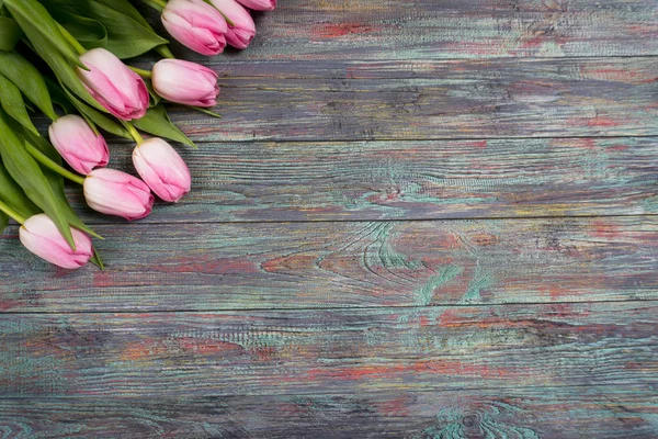 Taze pembe bahar Lale kenarlığını