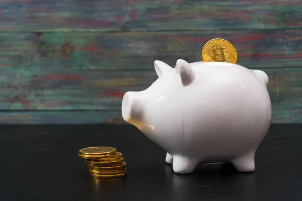 Fehér piggy bank egy arany bitcoin érme — Stock Fotó