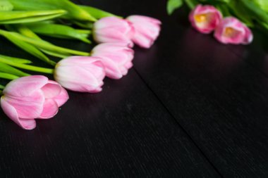 Siyah ahşap arka plan üzerine parlak Pembe Lale sınırdan çiçekler.