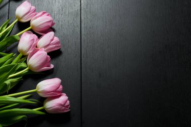 Siyah ahşap arka plan üzerine parlak Pembe Lale sınırdan çiçekler.