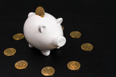 Bir altın bitcoin jeton ile beyaz piggy banka