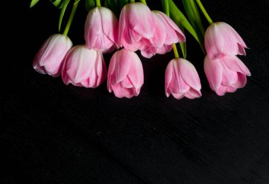 Siyah ahşap arka plan üzerine parlak Pembe Lale sınırdan çiçekler.