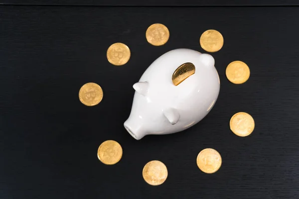 White piggy bank with one gold bitcoin coin
