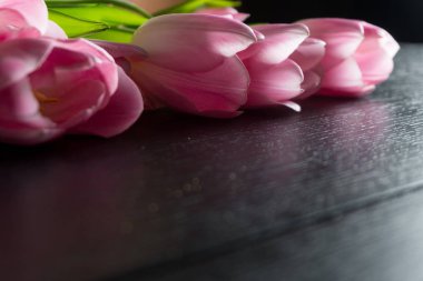 Siyah ahşap arka plan üzerine parlak Pembe Lale sınırdan çiçekler.