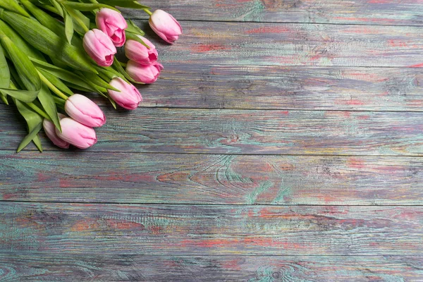 Taze pembe bahar Lale kenarlığını