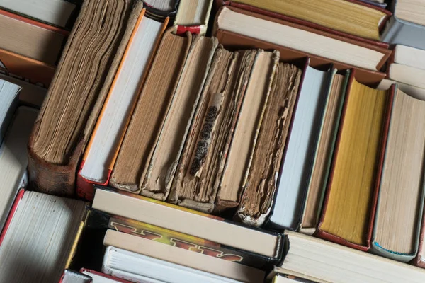 Muchos libros en una librería o biblioteca —  Fotos de Stock