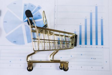 Mali rapor üzerinde alışveriş sepeti