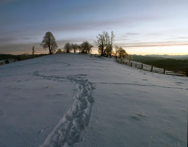 Vale da montanha dos Cárpatos coberto com neve fresca. Majestic lan — Fotografia de Stock