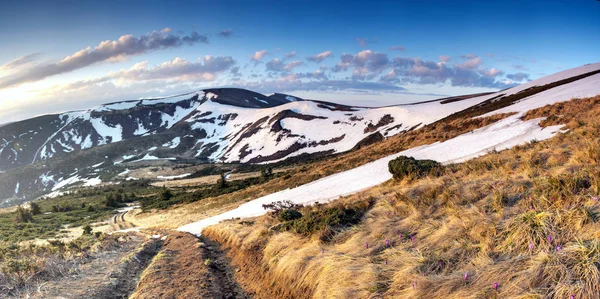 春の穏やかな山湖氷の風景 — ストック写真