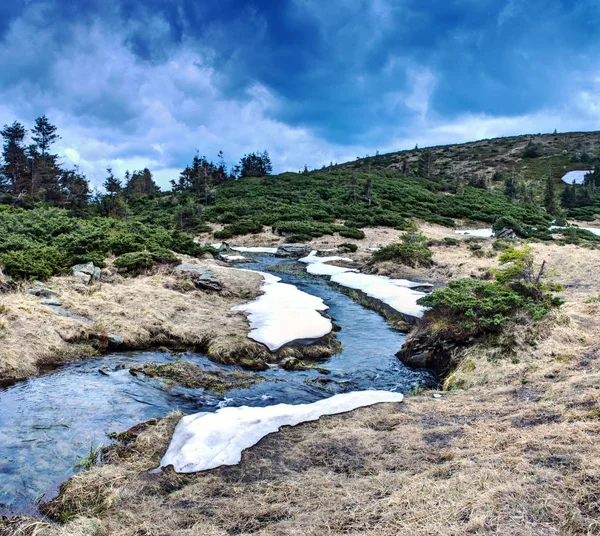 Горная река в весеннем пейзаже — стоковое фото
