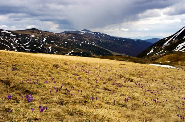 Primavera calma montaña paisaje con lago cubierto de hielo — Foto de Stock
