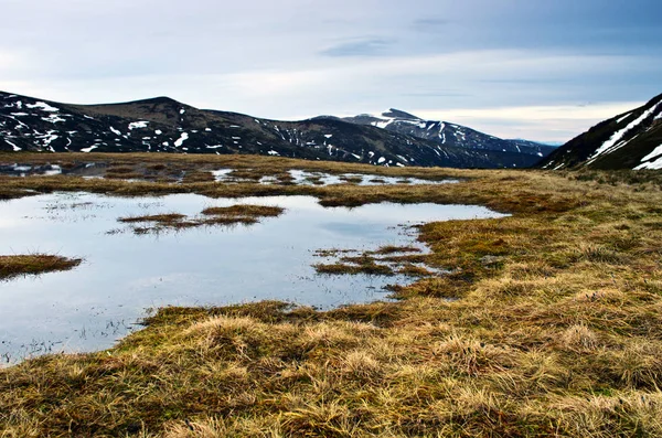 Beleza da natureza do Norte. Lago do norte na primavera . — Fotografia de Stock