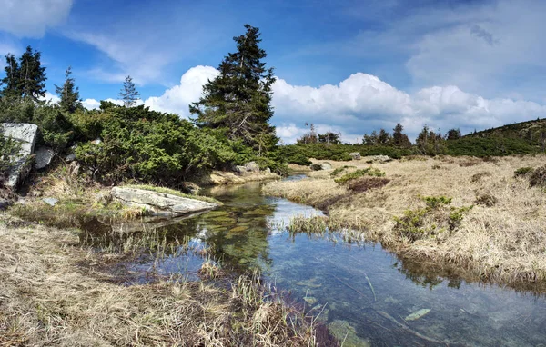 Fiume di montagna nel paesaggio primaverile — Foto Stock