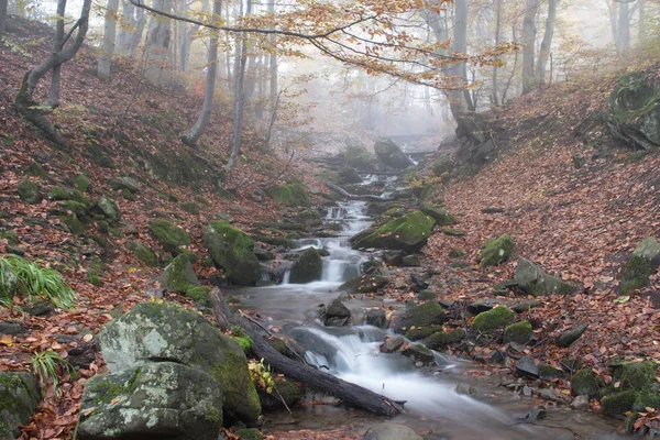 金秋的喀尔巴阡山脉山毛榉森林里的溪流 — 图库照片