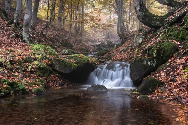 Beautiful Waterfall Scene Ukraine Carpathian Waterfall — Stock Photo, Image