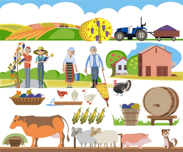 A set of agricultural elements — Stock Vector