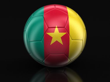 Kamerun bayrağı ile futbol futbol. Görüntü kırpma yolu ile