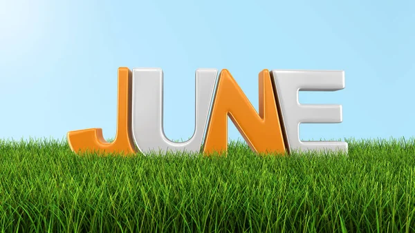 June on grass.  Image with clipping path — Stock Photo, Image