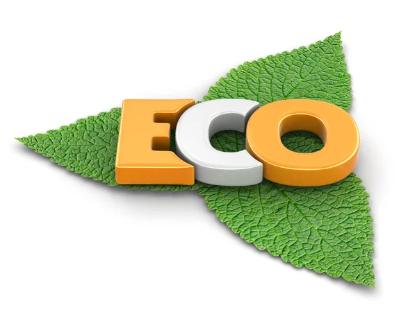 Eco tekst i liści. Obraz ze ścieżką przycinającą — Zdjęcie stockowe
