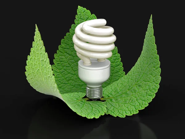 Lampadina a risparmio energetico e foglie. Immagine con percorso di ritaglio — Foto Stock