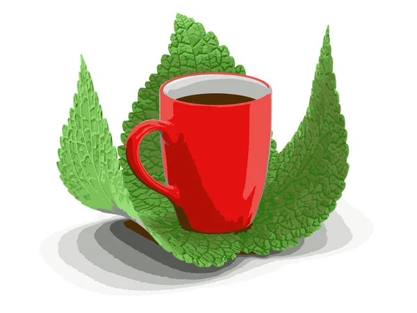 Tasse Kaffee und Blätter. Bild mit Ausschnittspfad — Stockvektor