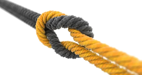 Image Tied Knot — Stock Photo, Image