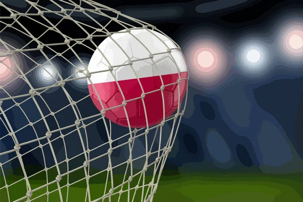 Poolse Soccerball Net — Stockvector