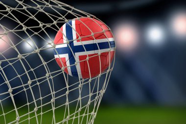 NET Norveç gol