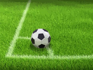 Gol görüntü çimenlerin üzerinde