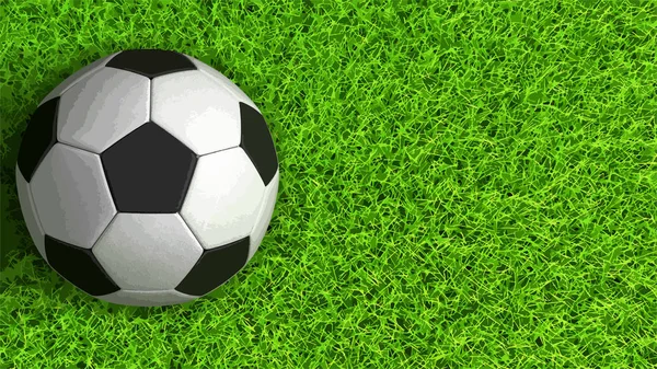 Imagem Soccerball Grama —  Vetores de Stock