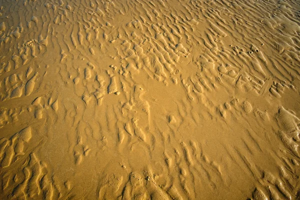 Areia ondulada molhada — Fotografia de Stock