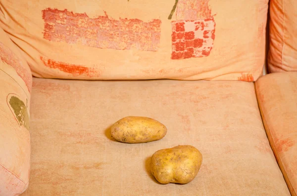 Soffa potatis bokstavligen — Stockfoto