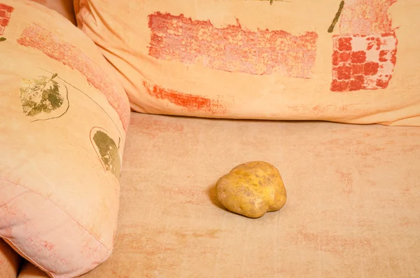 Patates kelimenin tam anlamıyla kanepe — Stok fotoğraf