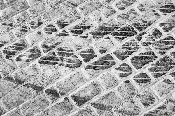 Tire marks on cobblestones — Stock Photo, Image