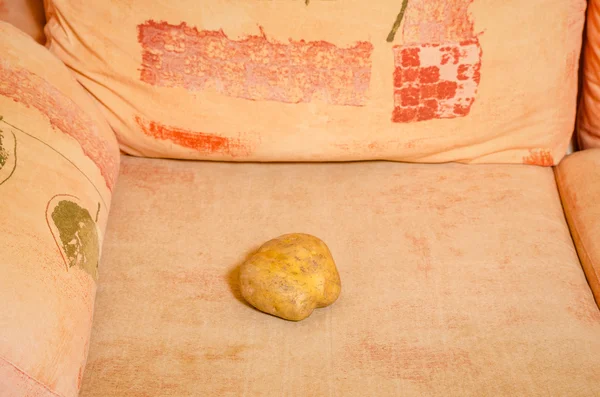 Couch potato bokstavligen — Stockfoto