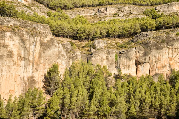 Jucar river canyon — Stock Photo, Image