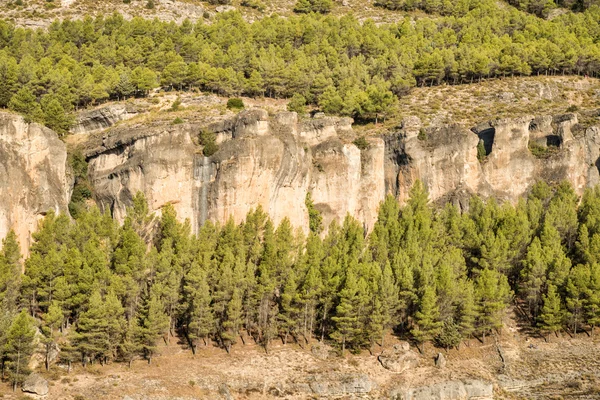 Beboste Jucar rivier canyon — Stockfoto