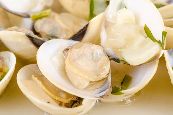 Clams served in wine sauce — Stock Photo, Image