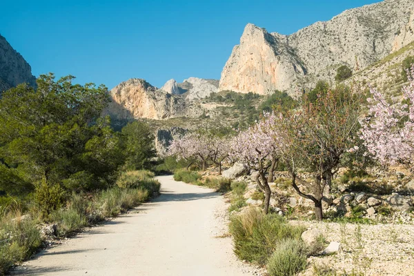 Sentier de randonnée sur la Costa Blanca — Photo