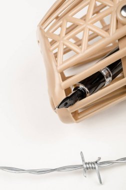 Basın özgürlüğü kavramı