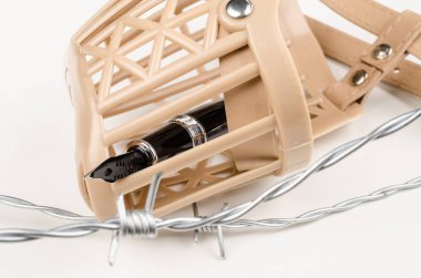 Basın özgürlüğü kavramı