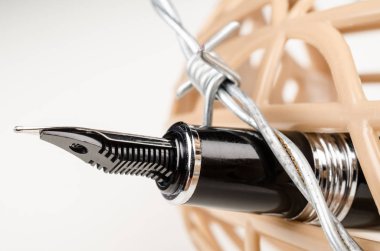 Basın özgürlüğü kavramı