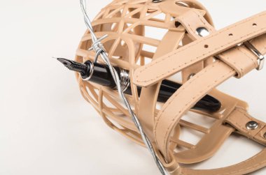 Basın özgürlüğü kavramı