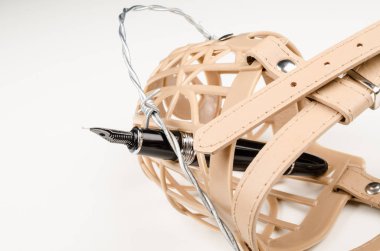 Basın özgürlüğü kavramı