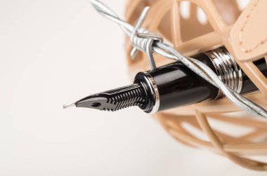 Basın özgürlüğü kavramı