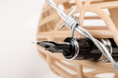 Basın özgürlüğü kavramı