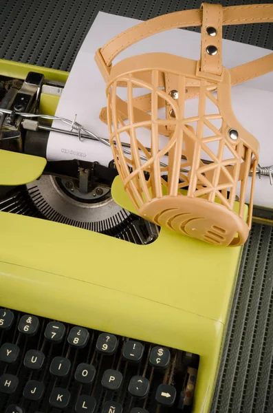 basın özgürlüğü